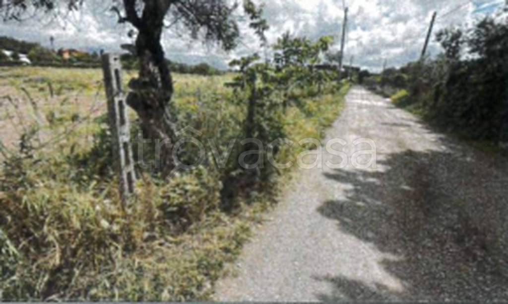 immagine annuncio 7 di 11