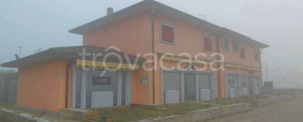 immagine annuncio 11 di 12