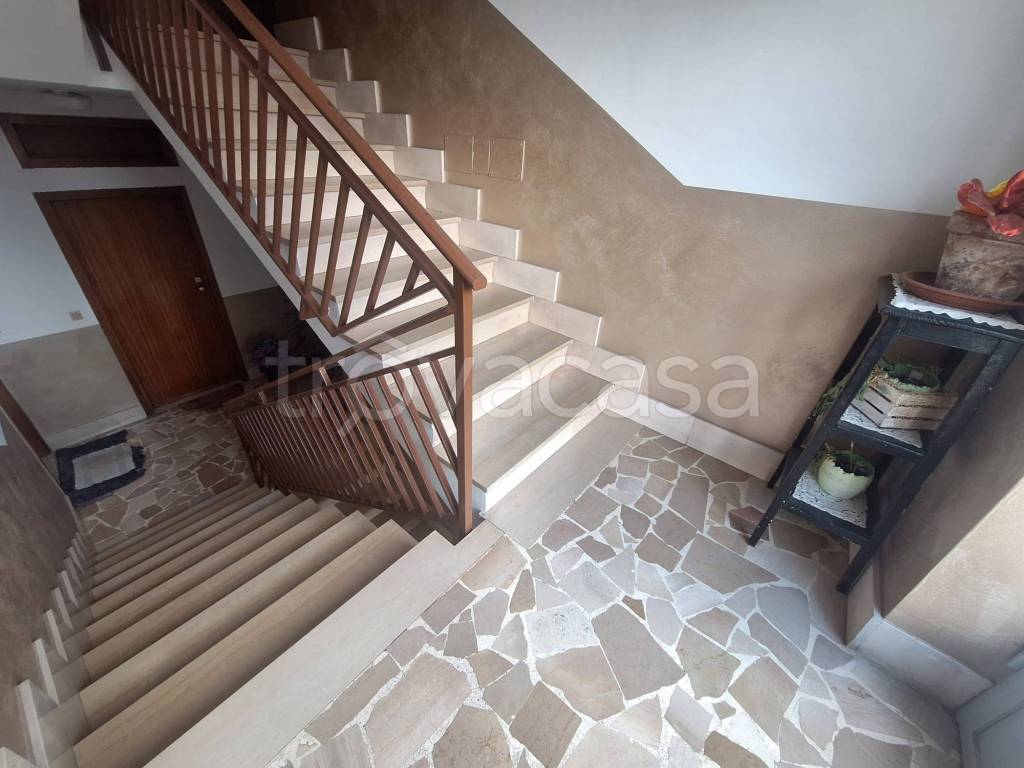 immagine annuncio 9 di 14