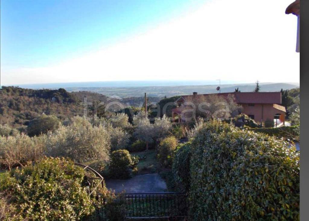 immagine annuncio 2 di 3