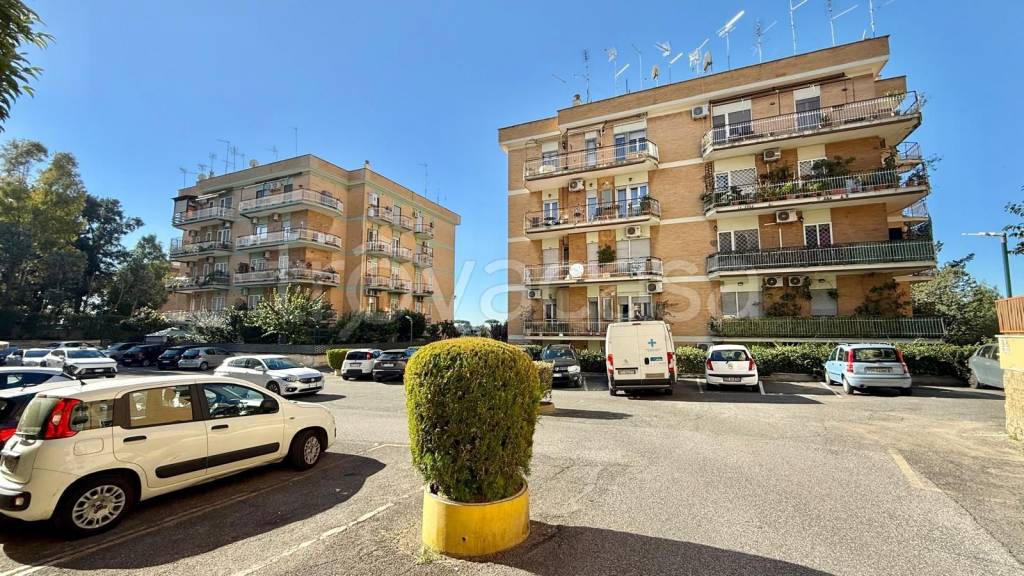 immagine annuncio 2 di 12