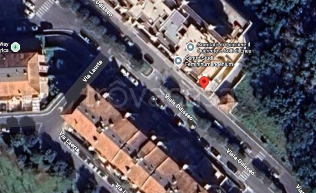 immagine annuncio 12 di 13