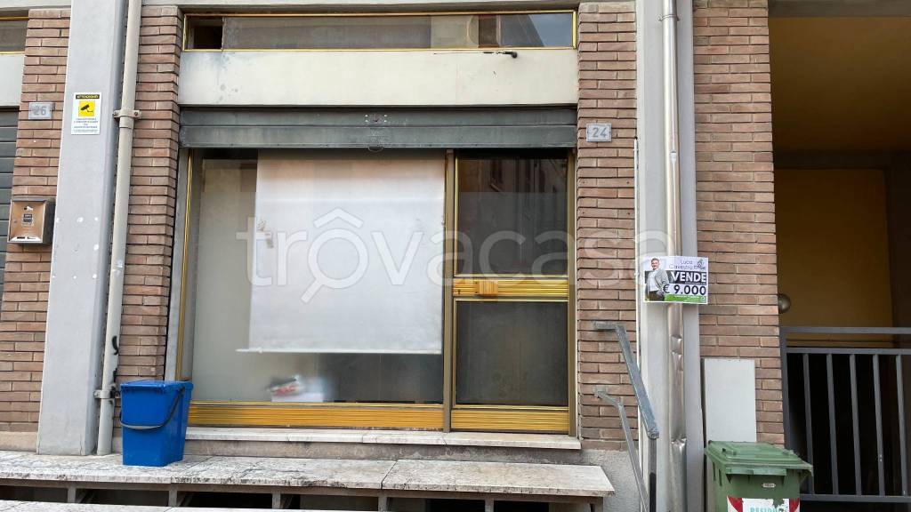 immagine annuncio 2 di 7