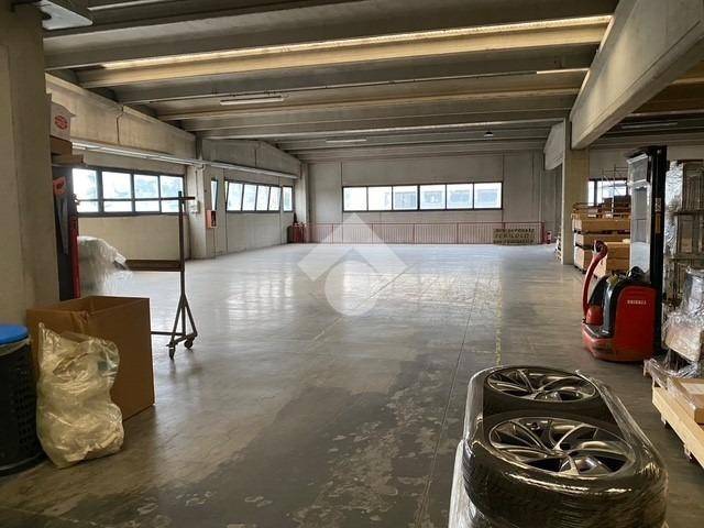 immagine annuncio 5 di 11