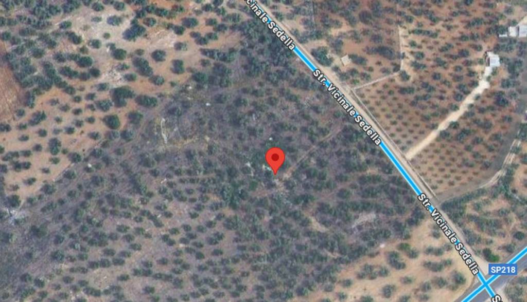 immagine annuncio 3 di 10