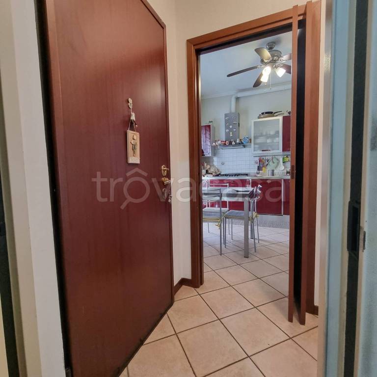 immagine annuncio 4 di 14