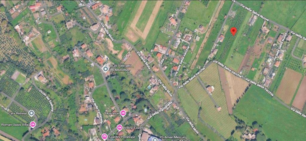 immagine annuncio 4 di 11