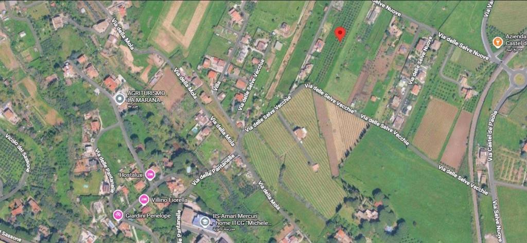 immagine annuncio 3 di 11