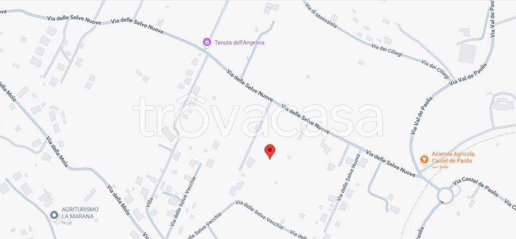 immagine annuncio 7 di 11