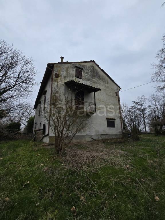 immagine annuncio 6 di 7