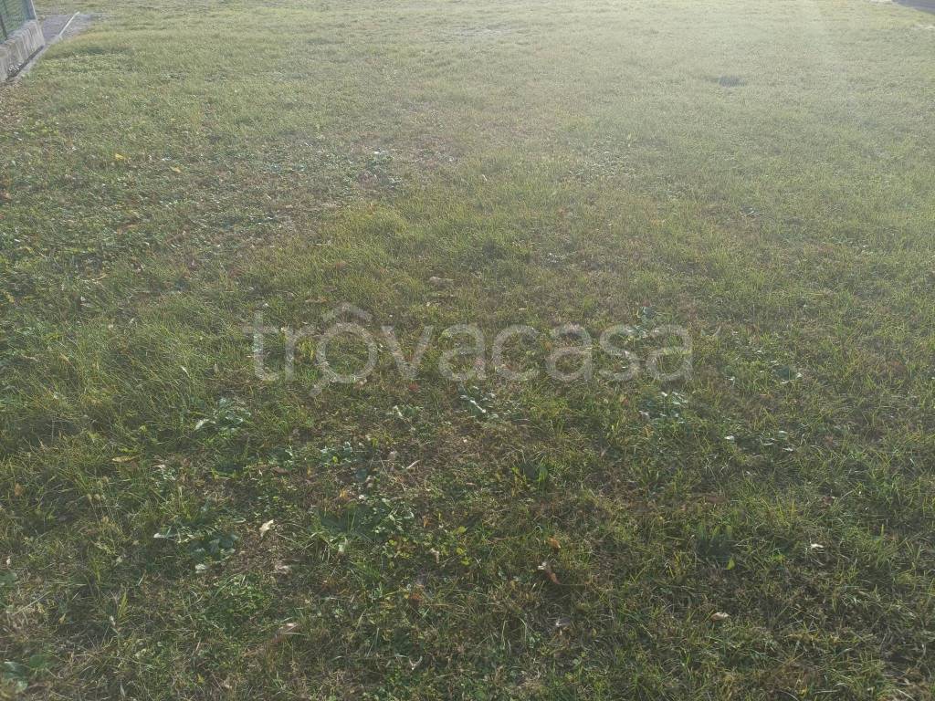 immagine annuncio 5 di 11