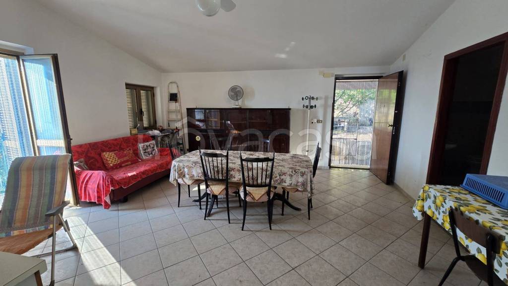 immagine annuncio 2 di 14