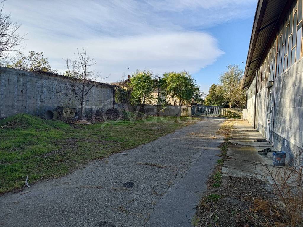 immagine annuncio 6 di 15