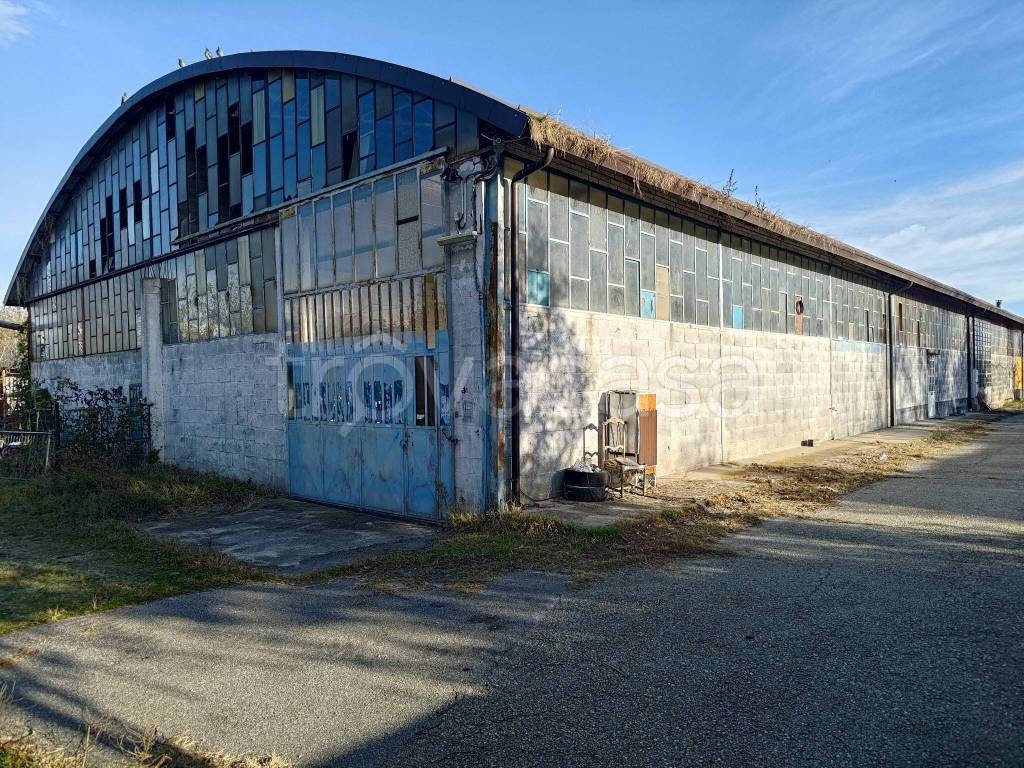 immagine annuncio 10 di 15