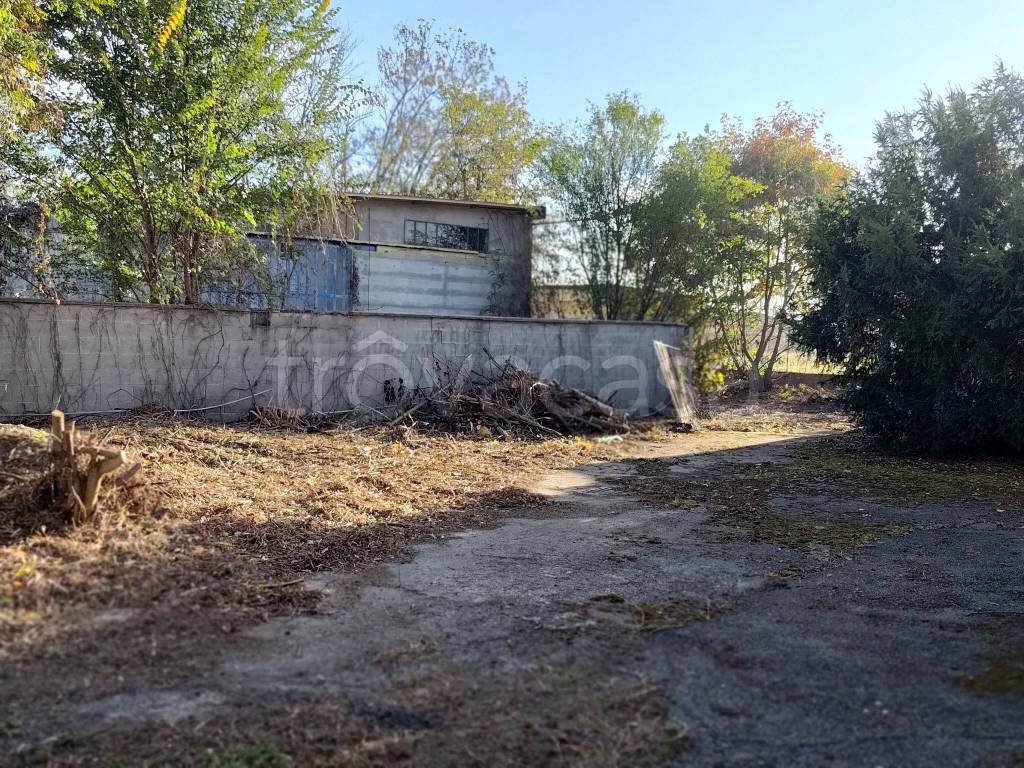 immagine annuncio 11 di 15