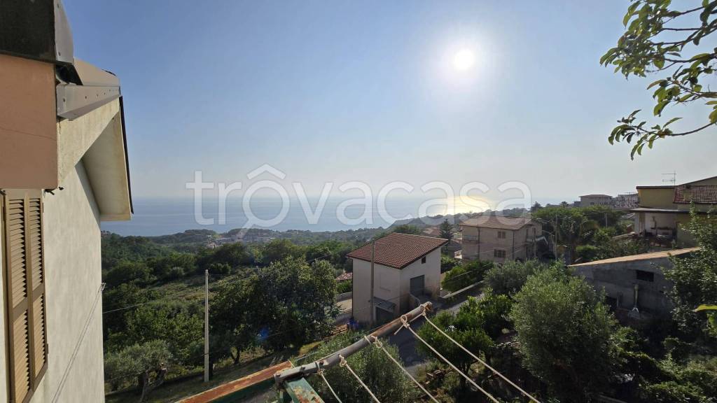 immagine annuncio 10 di 14