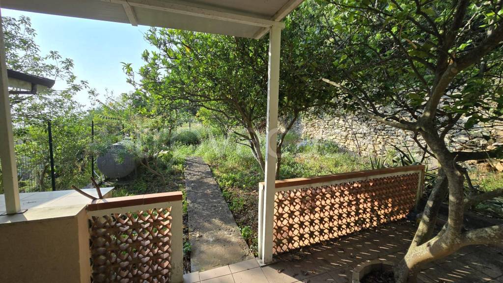 immagine annuncio 12 di 14