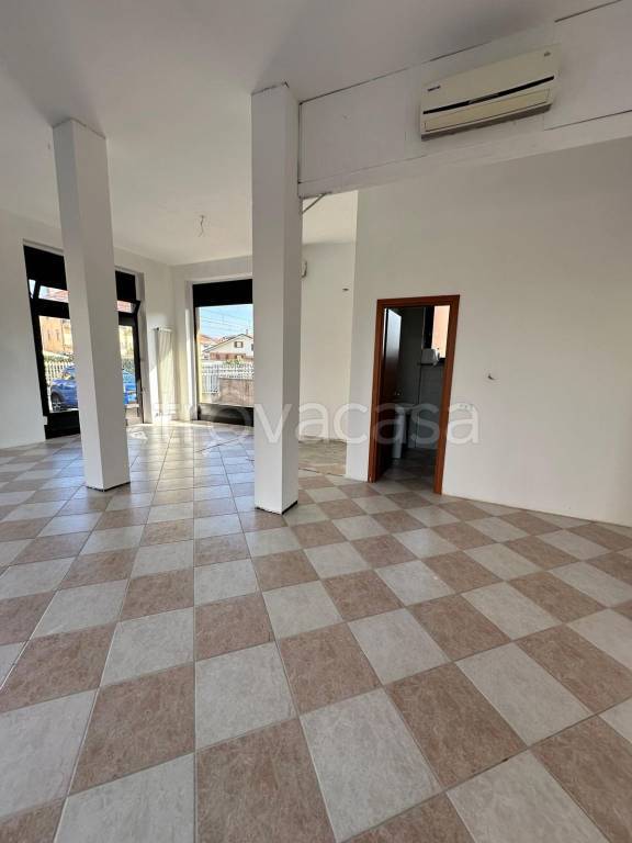 immagine annuncio 3 di 8