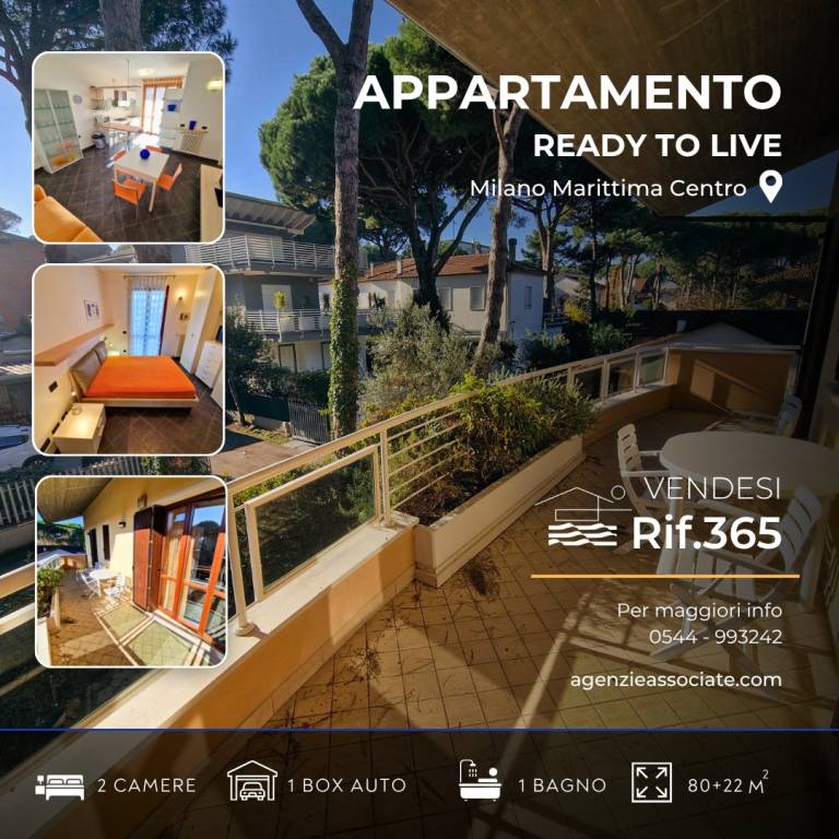 immagine annuncio 1 di 15