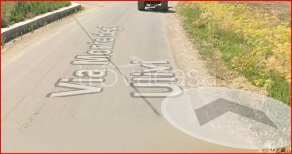 immagine annuncio 2 di 12