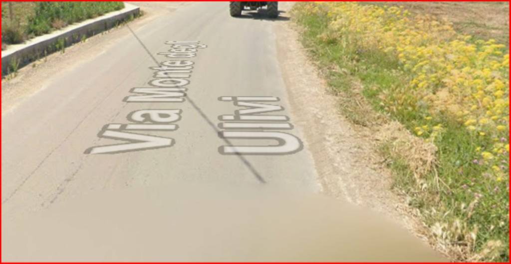 immagine annuncio 3 di 12