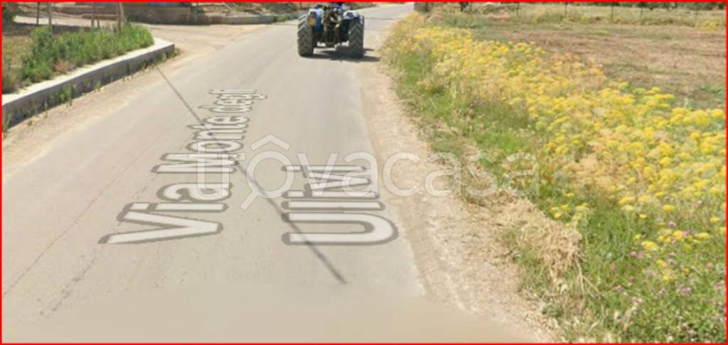 immagine annuncio 5 di 12