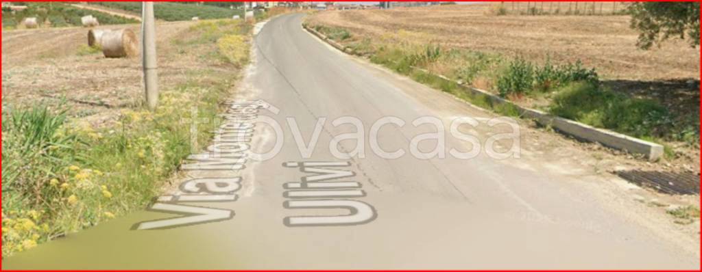 immagine annuncio 6 di 12