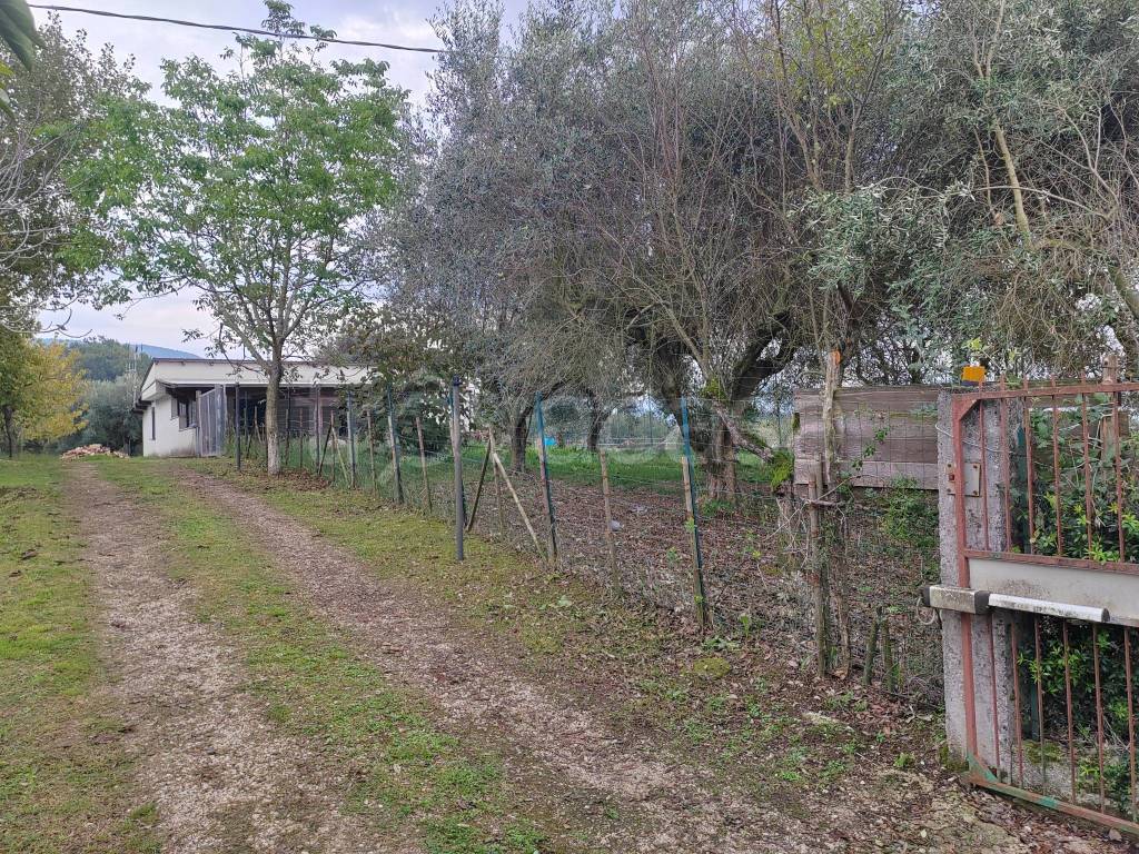 immagine annuncio 3 di 10