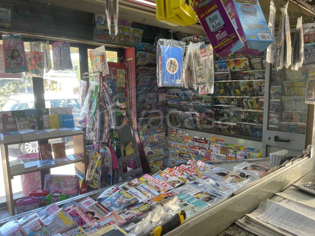 immagine annuncio 3 di 15