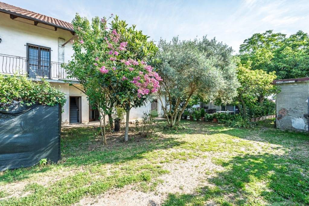 immagine annuncio 4 di 15