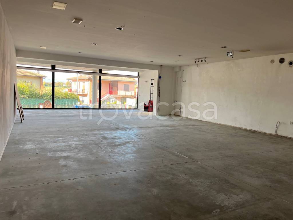 immagine annuncio 5 di 11