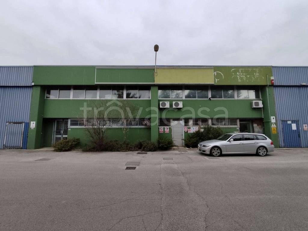 immagine annuncio 1 di 12