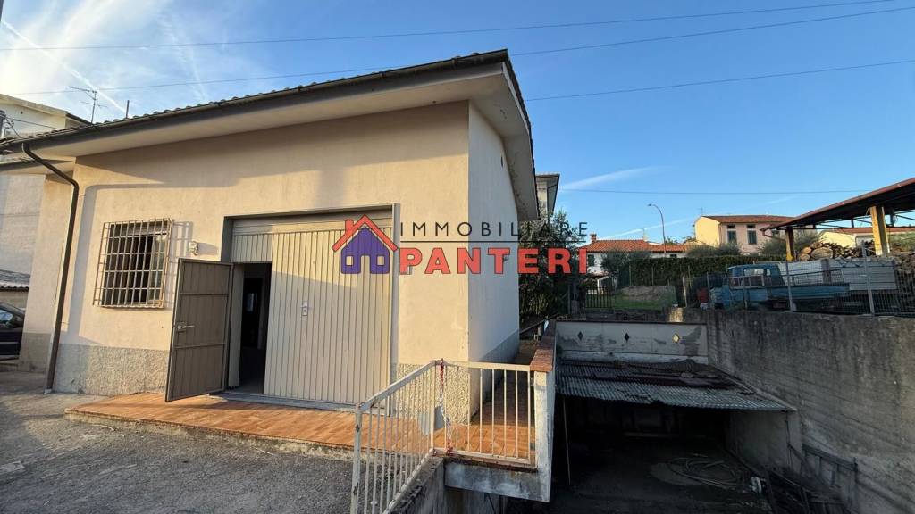 immagine annuncio 11 di 12