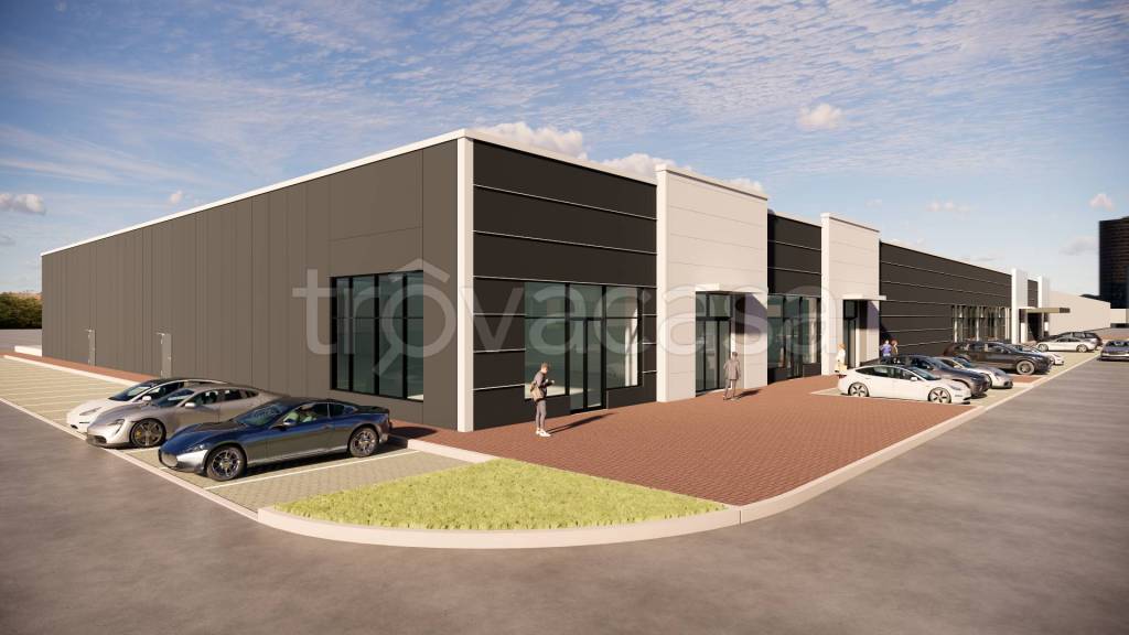 immagine annuncio 9 di 15