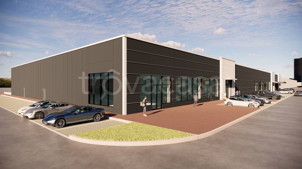 immagine annuncio 11 di 15