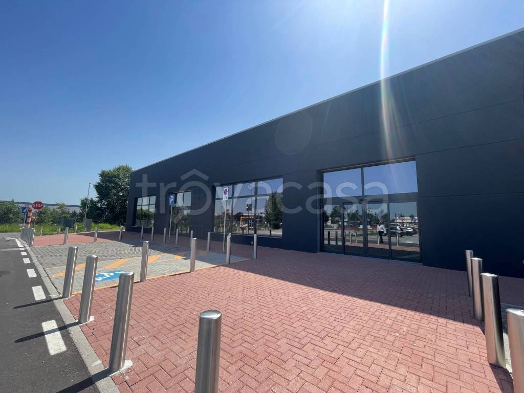 immagine annuncio 13 di 15