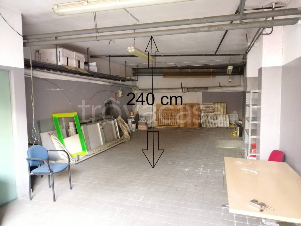 immagine annuncio 1 di 7