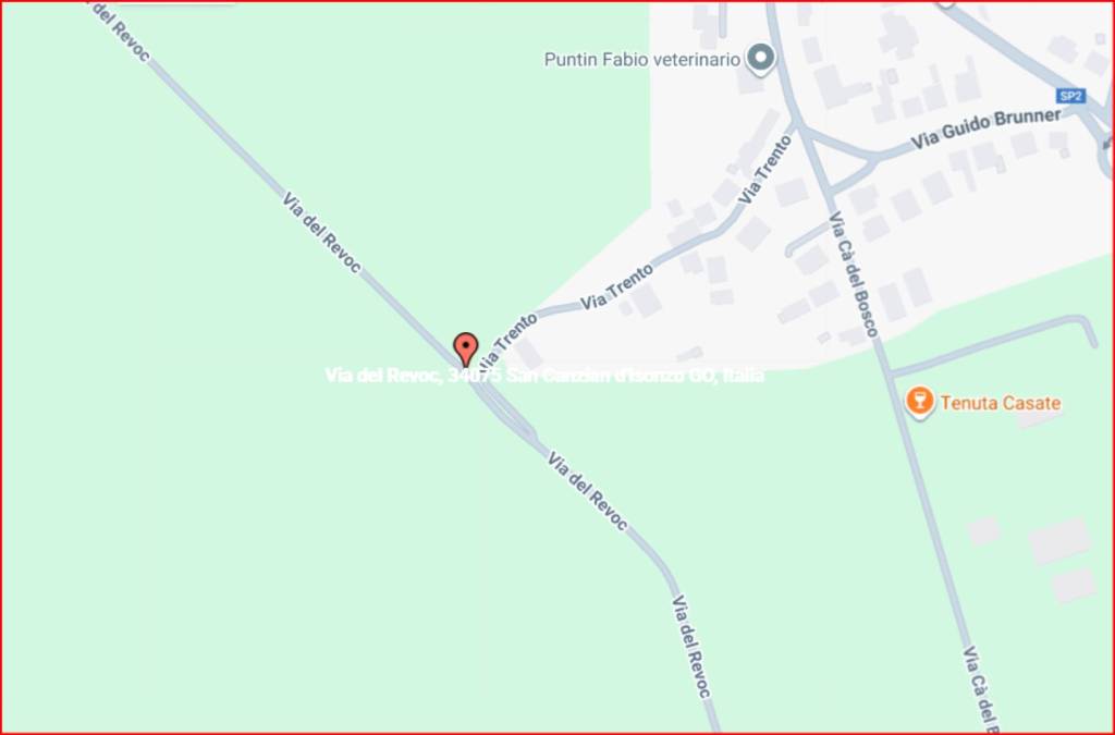 immagine annuncio 12 di 14