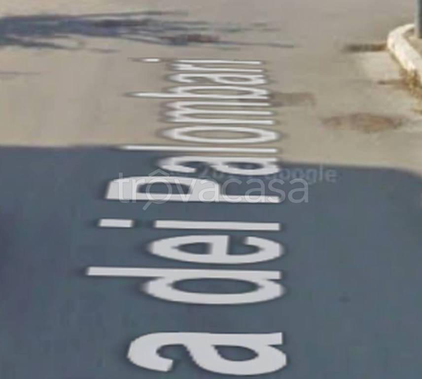 immagine annuncio 3 di 11