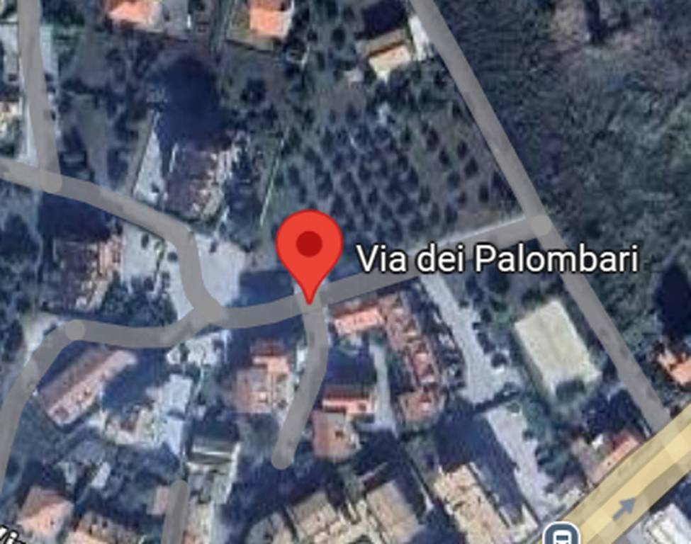 immagine annuncio 9 di 11