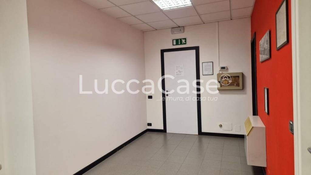 immagine annuncio 5 di 7