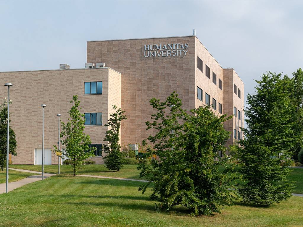 immagine annuncio 11 di 14