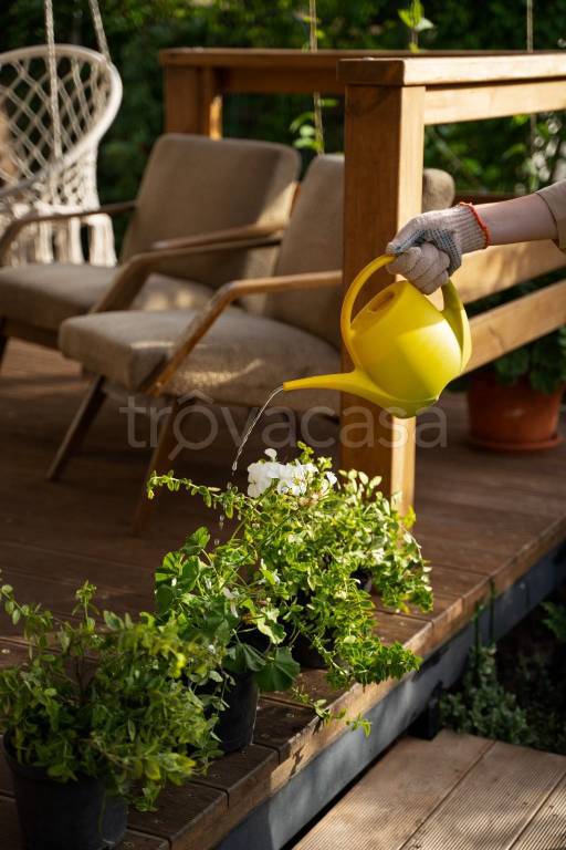 immagine annuncio 5 di 7