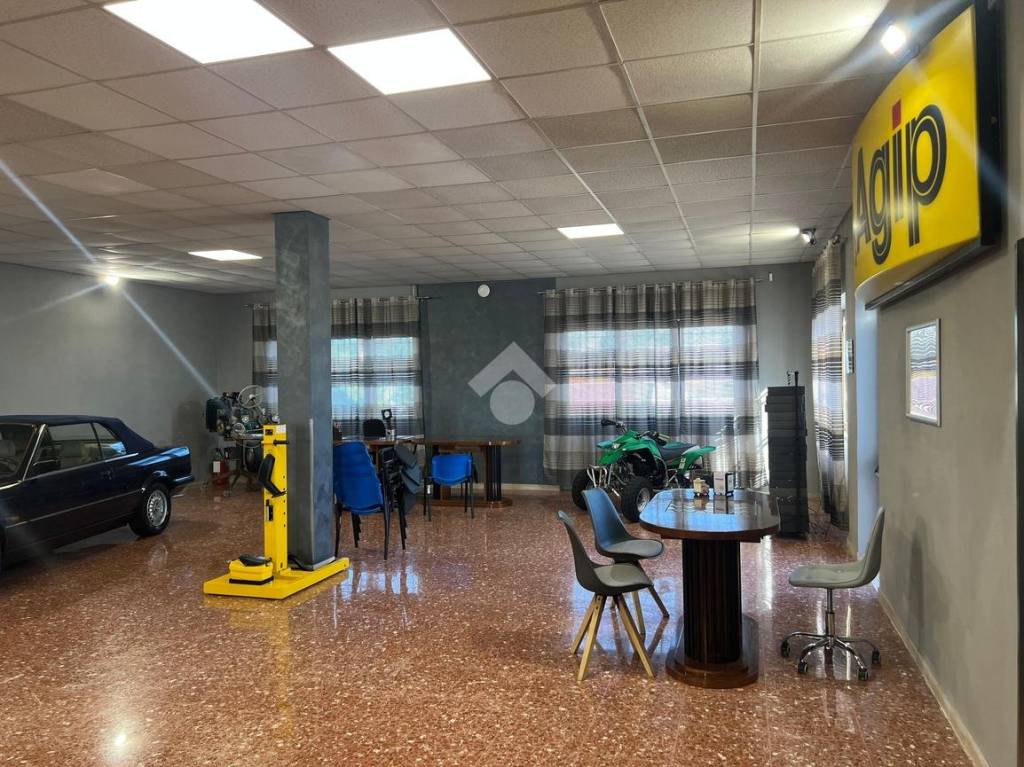 immagine annuncio 1 di 15