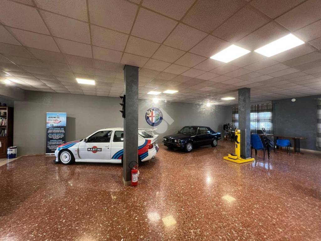 immagine annuncio 7 di 15