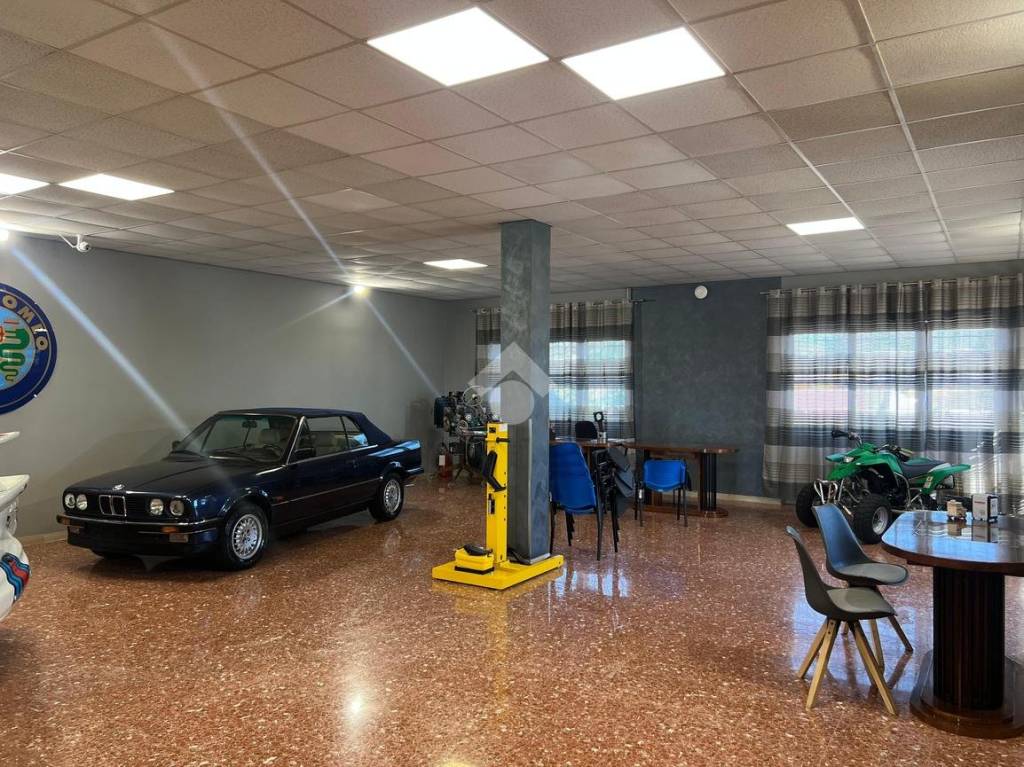 immagine annuncio 8 di 15