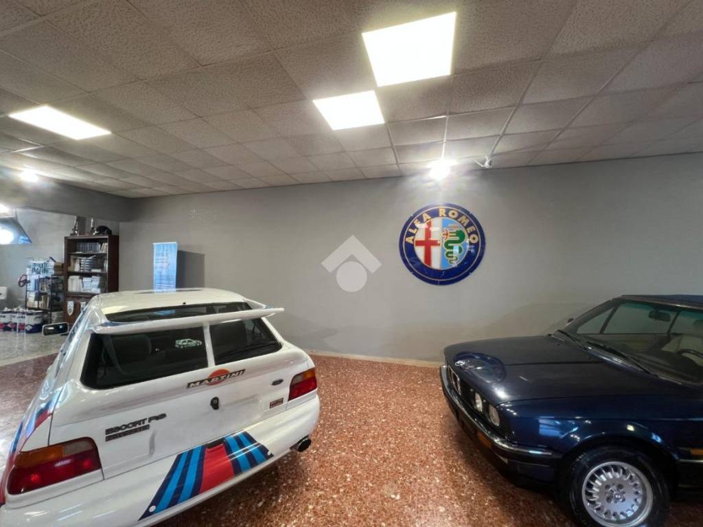 immagine annuncio 13 di 15