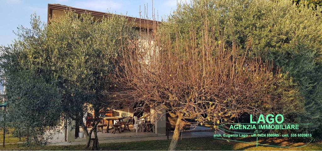 immagine annuncio 5 di 9