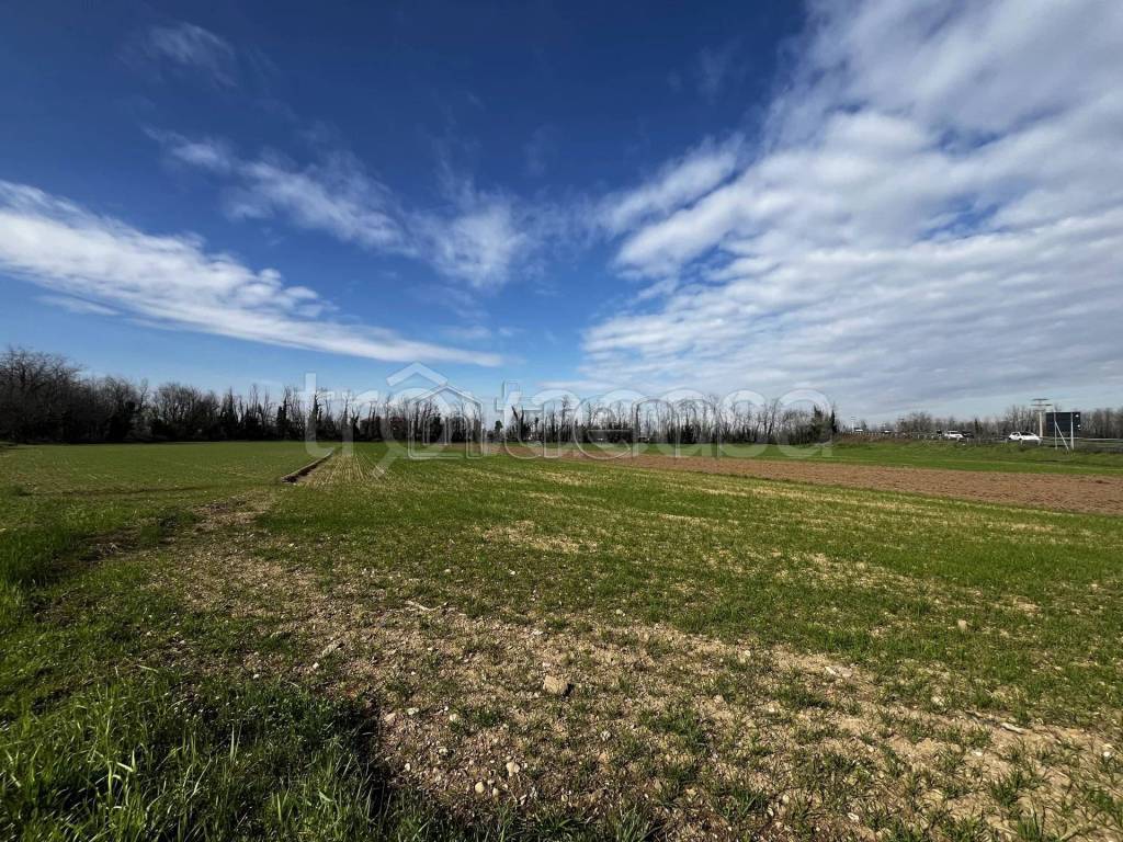 immagine annuncio 3 di 6