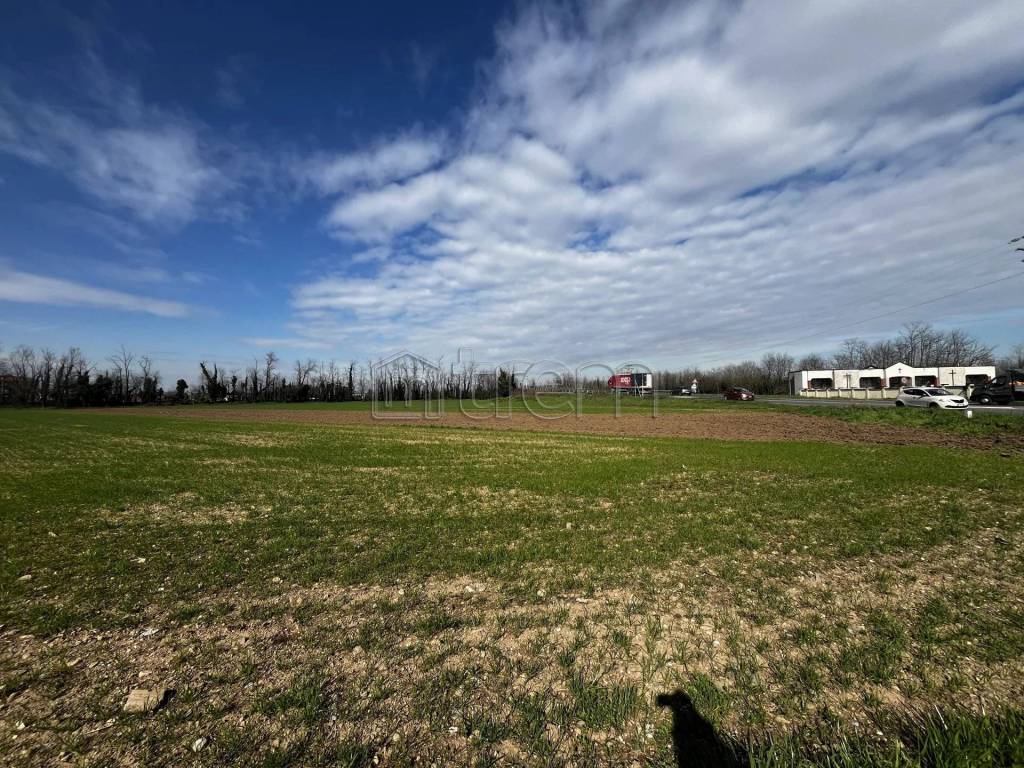 immagine annuncio 4 di 6